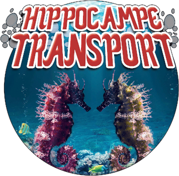 Flyer Hippocampe Transport – zones et services