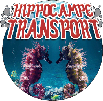 Hippocampe Transport Paita, Nouméa, Tontouta.
